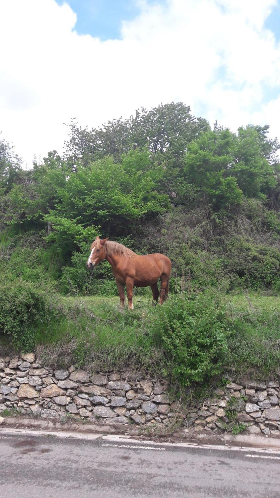 Casa Rural Baro Tornafort 外观 照片